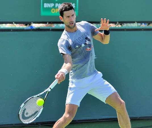 Soubor:Novak Djokovic (25797250675).jpg – Wikipedie