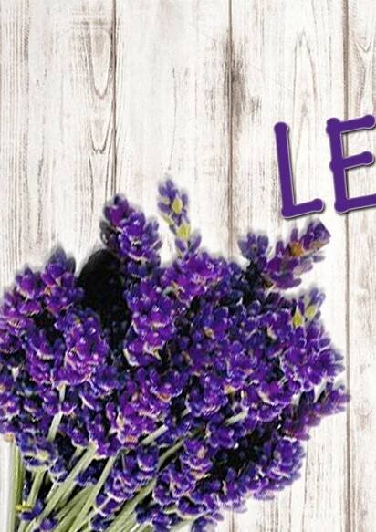 Levanduľový festival na Obchodnej | CITYLIFE