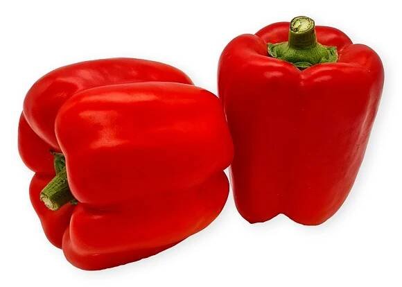Červená paprika