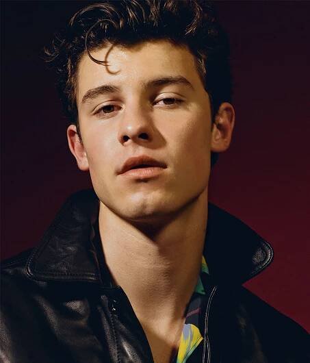 Shawn Mendes Enlists Zedd for "Lost in Japan" Remix - Synnistry