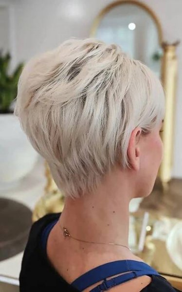 Very Short Stacked Pixie Bob