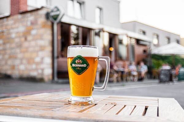 Pivo Bernard