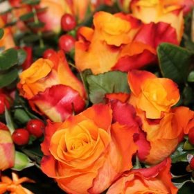 Kytice oranžových růží - růže v plamenech
