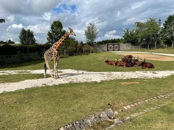 ZOO a Safari Dvůr Králové