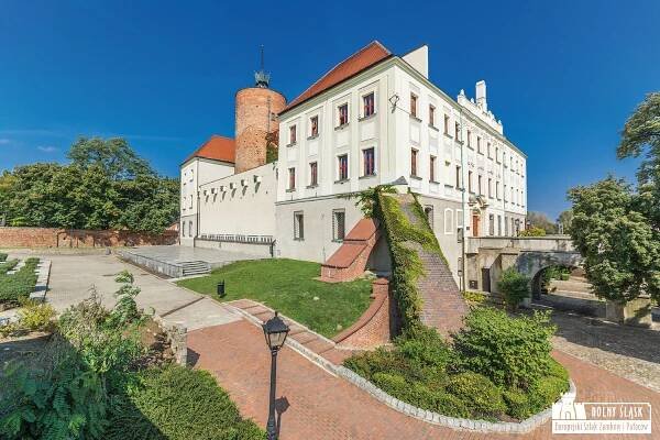 Zamek Książąt Głogowskich | Europejski Szlak Zamków i Pałaców