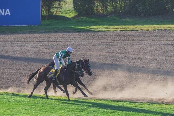 Reportážní fotografování dostihových závodů Velká Pardubická 2018 | de simple