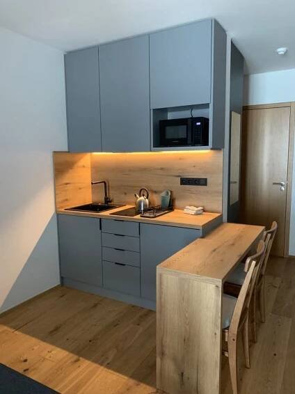 Prodej bytu 1+kk 33 m², Modrokamenná, Janské Lázně, Královéhradecký kraj