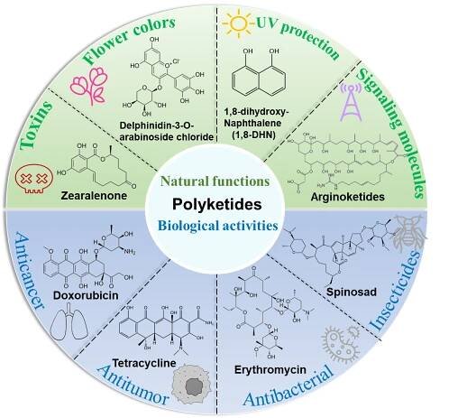 Synthetic Biology and Engineering - Journal - SCIEPublish