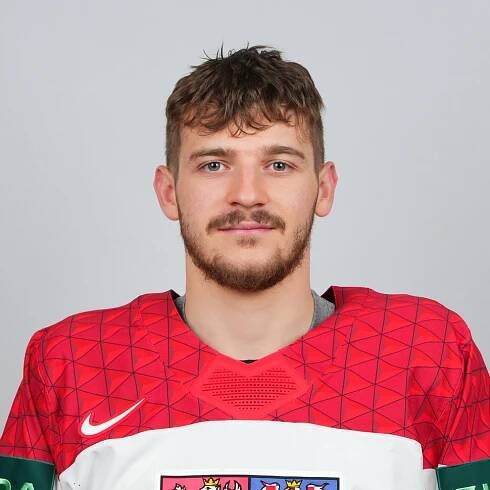 Jakub Lauko - Hokej - iDNES.cz