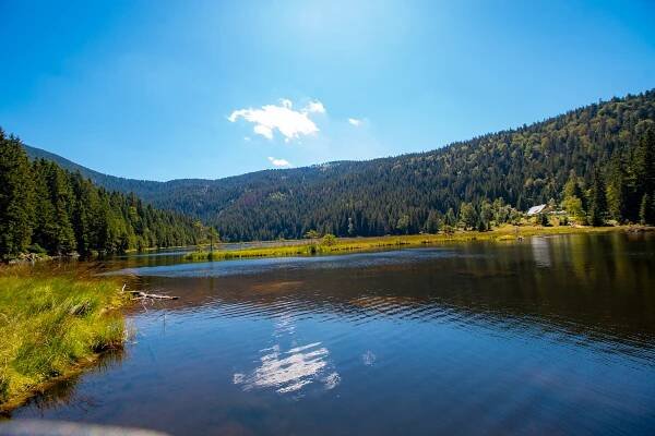 Kleiner Arbersee Rundwanderweg