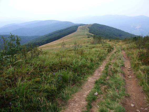 Súbor:Dział, Bieszczady B1.jpg