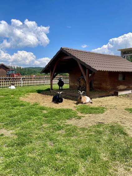 Vyrazili jsme do Farmaparku Soběhrdy - 18. ZŠ Most