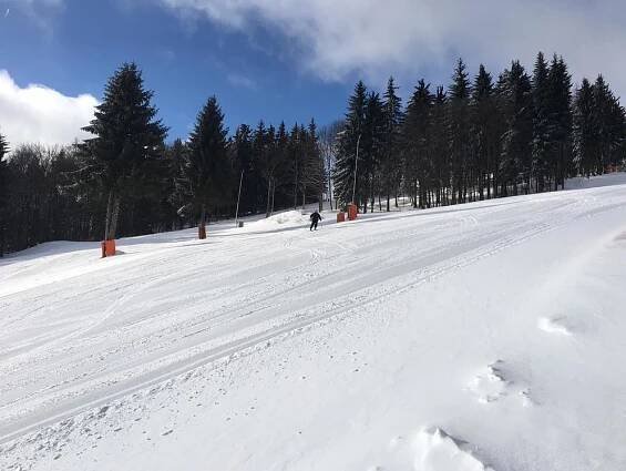 Ski areál Alšovka