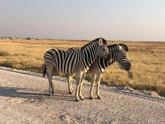 Namibie / Wind4Wonders
