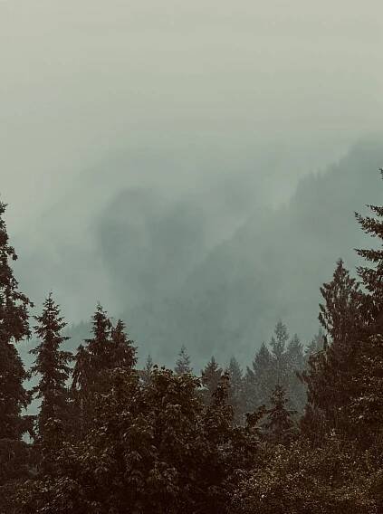 Misty mountains on Tumblr