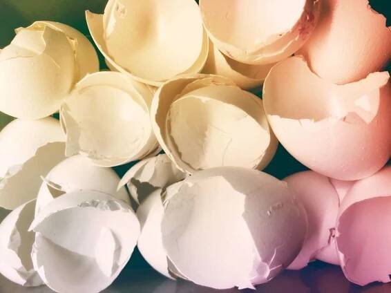 Cascarilla / Eggshell powder