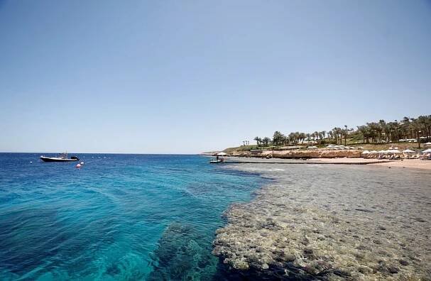 Potíže českých turistů v Egyptě. Klienti Blue Style uvízli v Hurghadě i Marsa Alam, cestovka mění dopravce