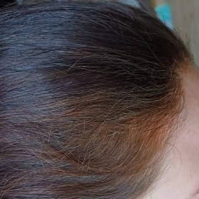 RECENZE: Radico Přírodní barva na vlasy BIO. Poradí si s šedinami? 8