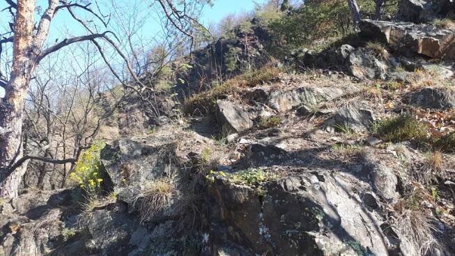místní skály jsou jako botanická zahrada.jpg | foto: Markéta Vejvodová,  Český rozhlas