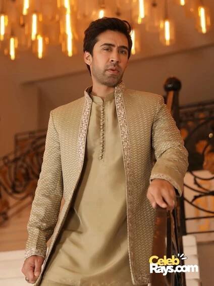 Ali Rehman Khan filmography