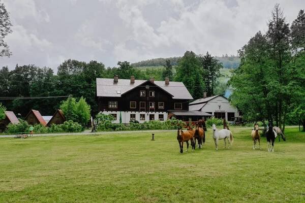 Penzion Račí údolí, Javorník - Ceny