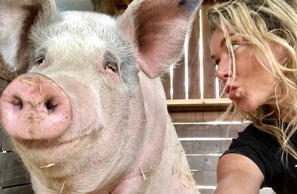Pigcasso