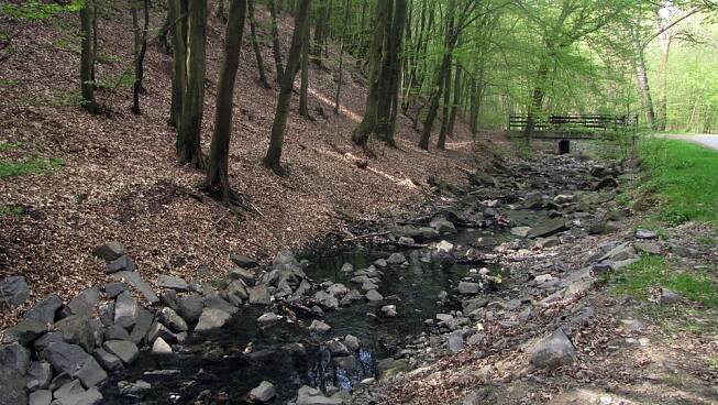 Modřanská rokle a Cholupický vrch | Pražská příroda