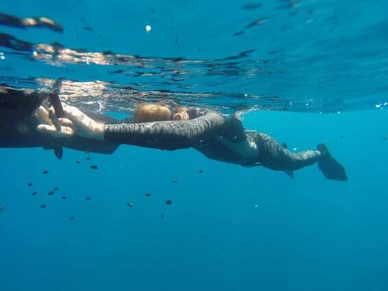 Freedive Dubrovnik (2025) - All You Need to Know BEFORE You Go (with Reviews)