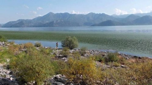Skadarské jezero na hranicích Černé Hory a Albánie