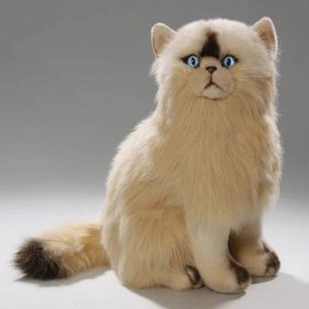 Carl Dick kočka, perská kočka béžová cca 35cm | Kaufland.cz