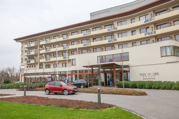 Numerické simulace a zkušebnictví