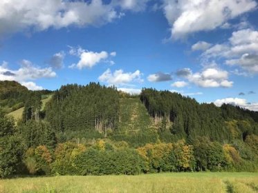 Majitel lesa o rozloze alespoň 50 ha bude moci prohlásit svůj les za oboru - Dřevostavitel.cz