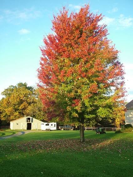 The Farm – Kinsman Farm