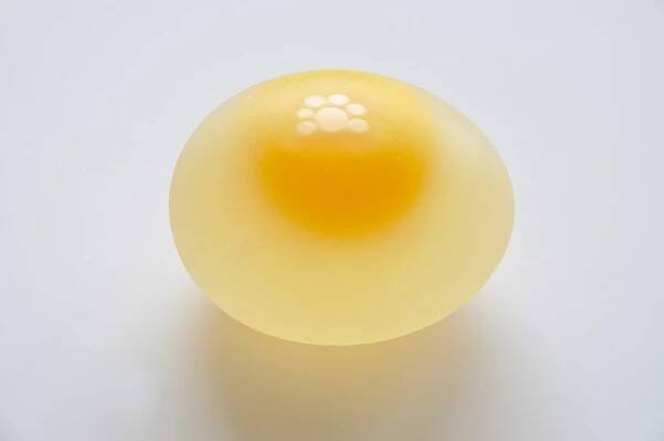 File:Chicken Egg without Eggshell 5859.jpg - Wikimedia Commons