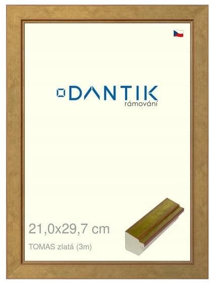 DANTIK rámeček na obraz 40x50 | LYON hnědá (Plexi Čiré)