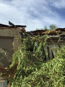 Stop Roof Damage from Trees - Glendale AZ