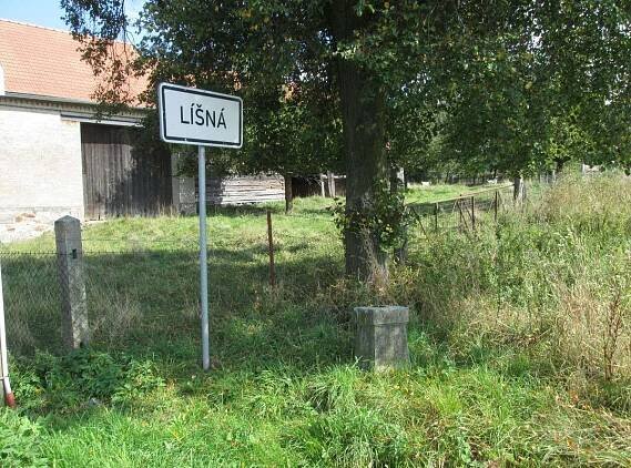 Kříž jižně od Líšné | Drobné památky 
