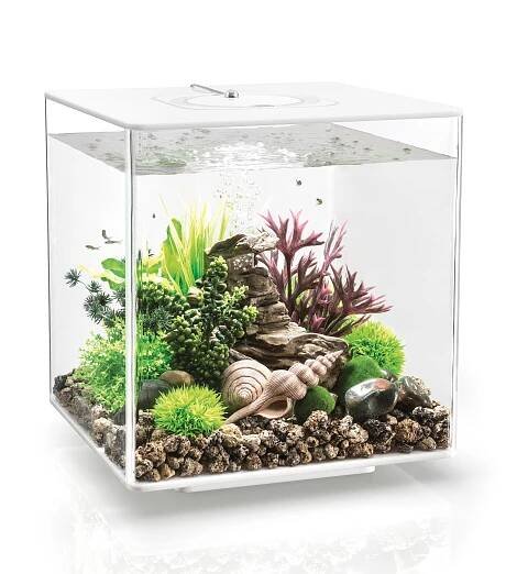 Akvárium BIORB CUBE MCR bílé 30 l