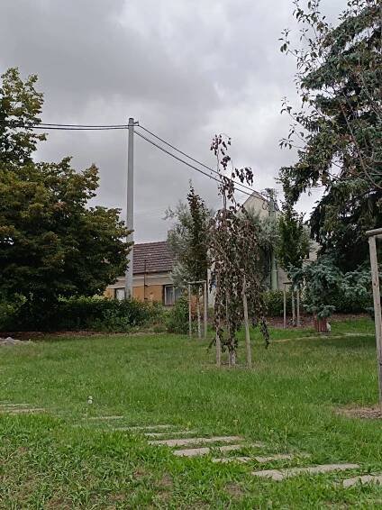 Studna v centrálním parku – Předboj.cz