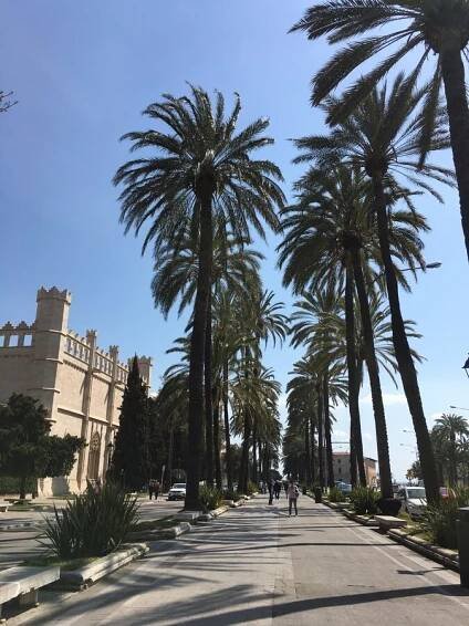 MALLORCA - Seretravel