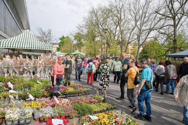 Flora Olomouc 2025 – zahrádkáři - Šumpersko.net