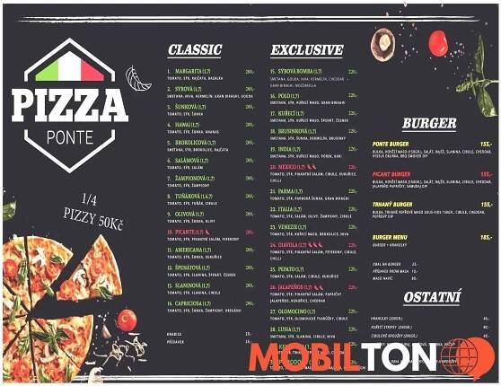 Pizza Ponte Plaňany - Pražská 40 - pizzerie v pražská 40