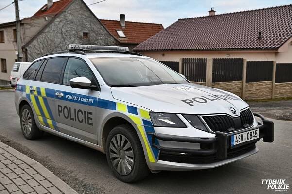 K nehodě v Malých Přílepech došlo poté, co dívka vystoupila z autobusu | Týdeník Policie
