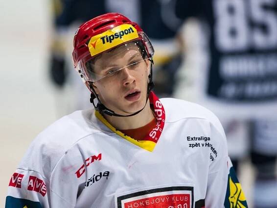 Mountfield HK, a.s. | Fotogalerie | Hráč | Tomáš Rousek