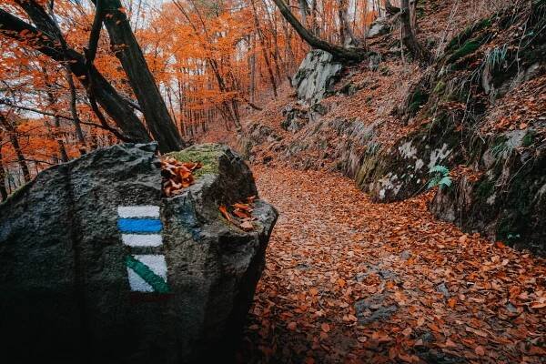 Svatojánské proudy. Historie a současnost Vltavy.