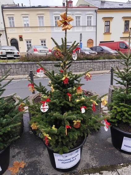 Vánoční stromeček – Základní škola Odry Pohořská