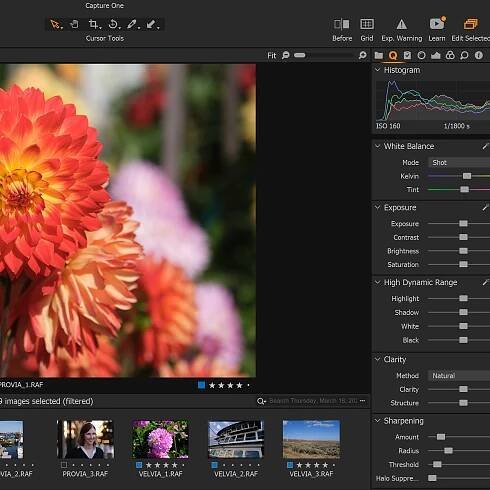Adobe Camera Raw vs. Capture One Express Fujifilm: A worthy free contender