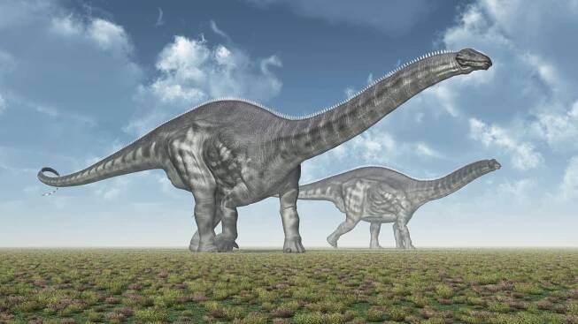 Brontosaurus: Steckbrief + 7 Merkmale des Dinosauriers » schreiben.net