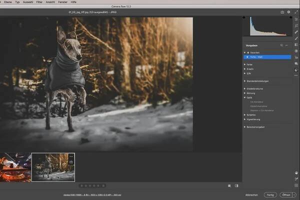 Camera Raw-Tutorial: 1.2 | Přehled