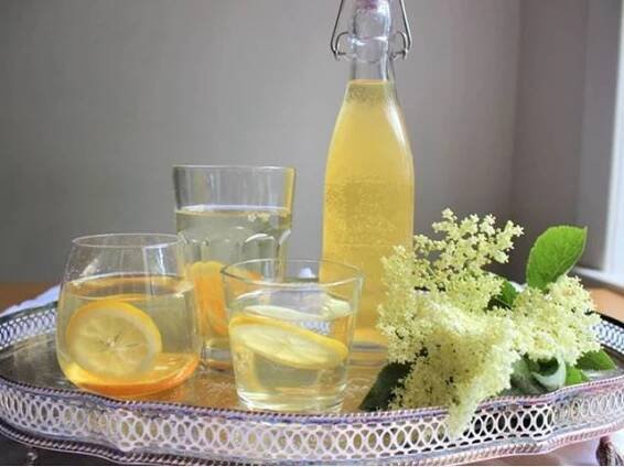 Bezový sirup | Prostřeno.cz